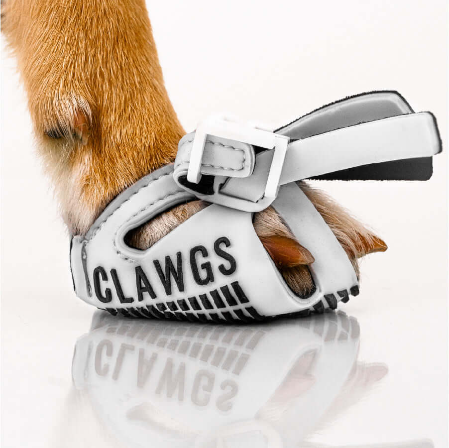 Side view of a white Clawg V2 on a paw