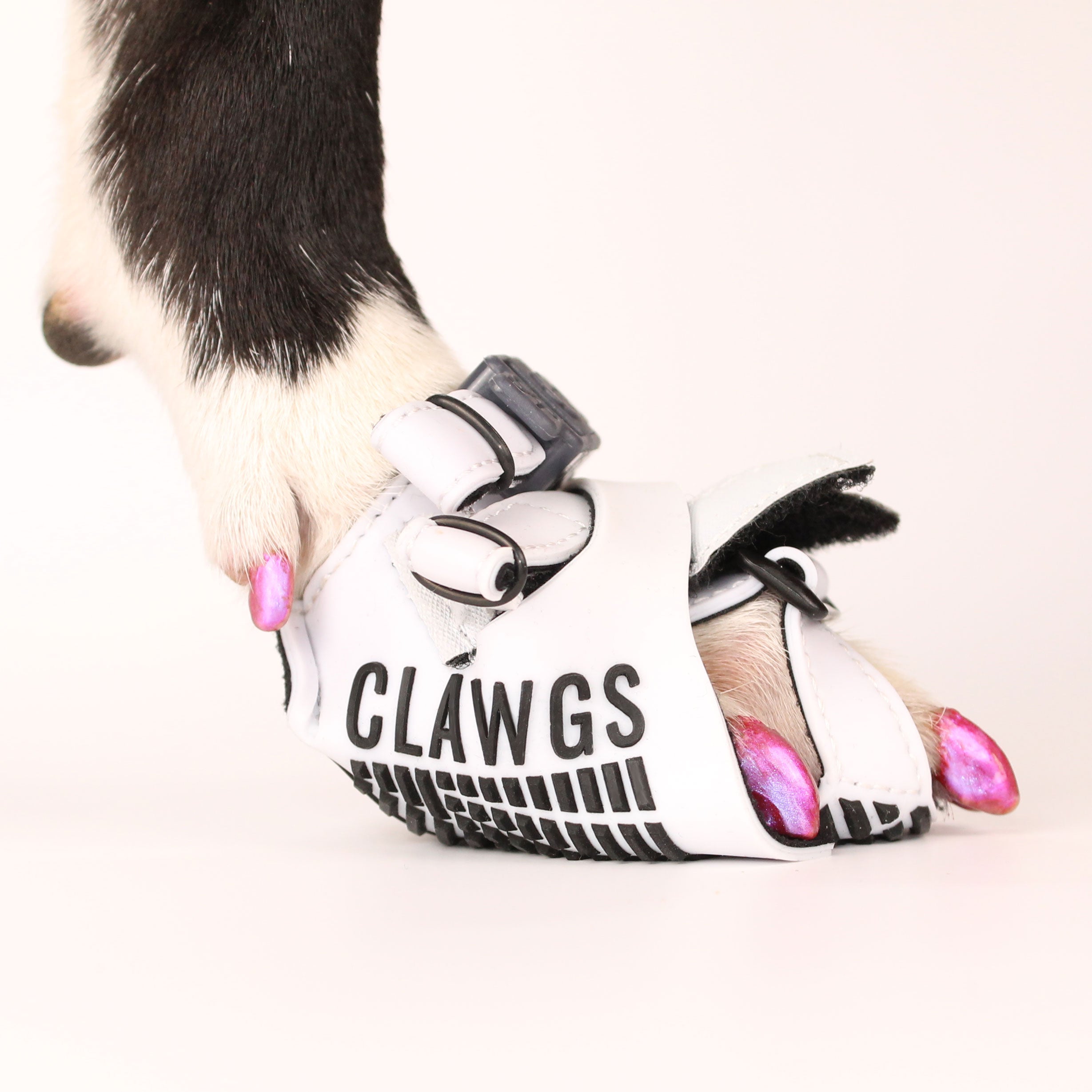 Clawgs V3 | Wrap Paws + Use Claws + Grip = Run Naturally