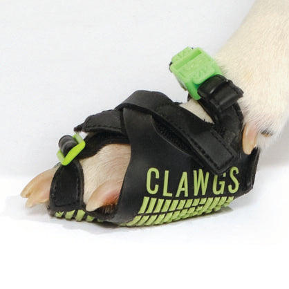 Clawgs V3