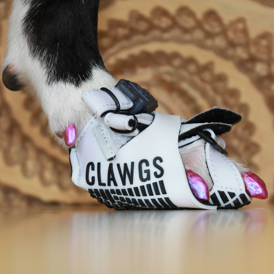 Clawgs V3