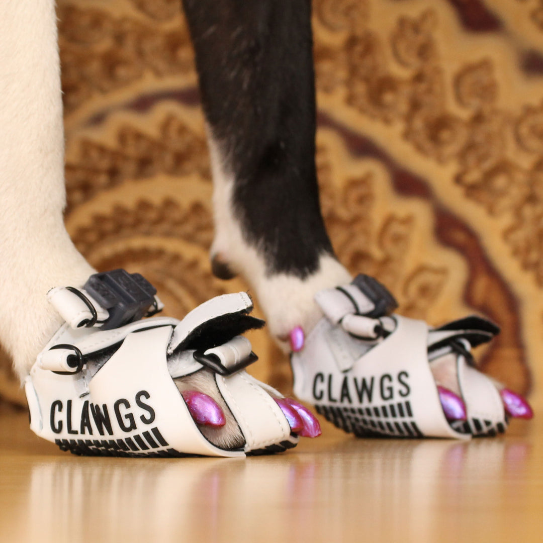 Clawgs V3